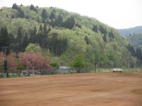 新緑から万緑へ