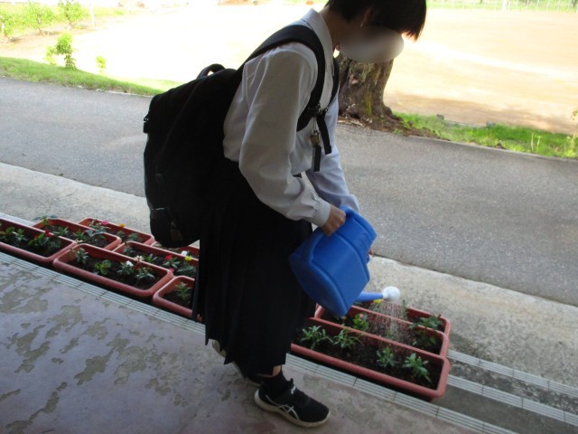 さっそく水やり
