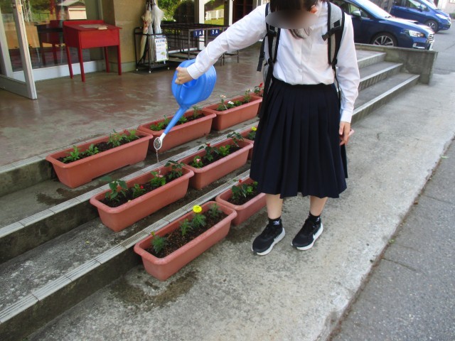 忘れずに水やりしてくれてありがとう