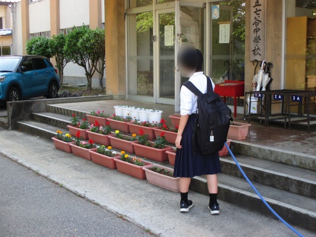 いつもどおりの風景