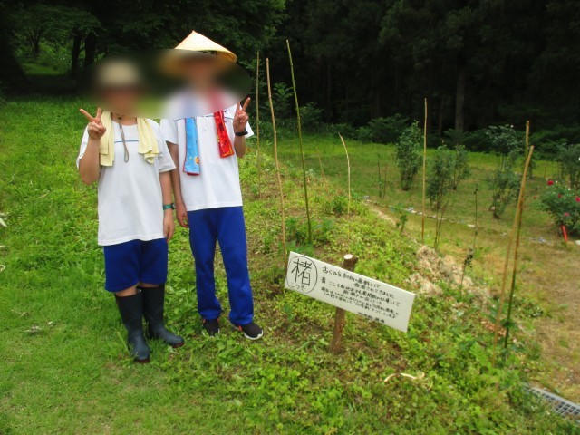 作業を終えて