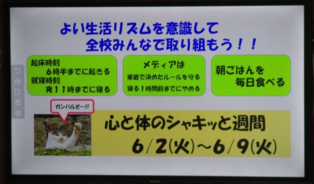 目標はこれだ！