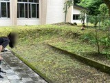 職員が近づいても食事をやめません