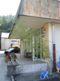 短冊はこれから
