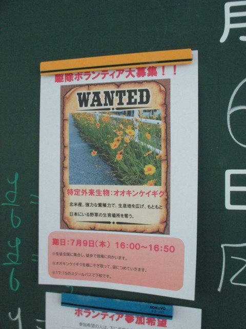 あつまれ七中生！