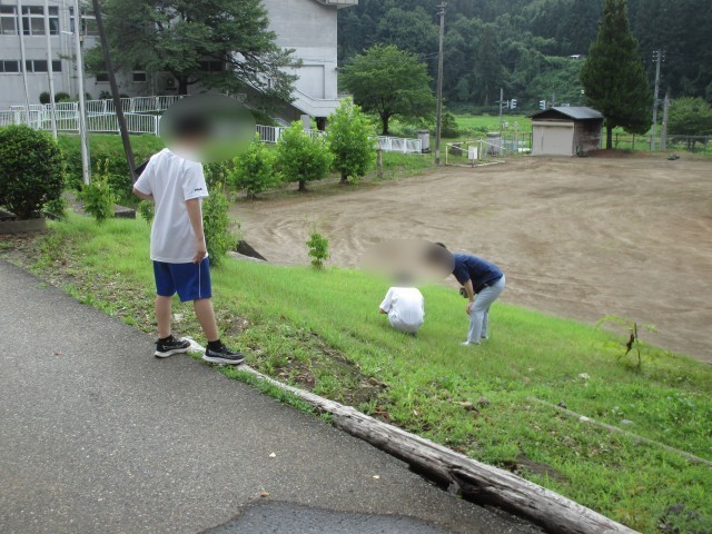 生き物追跡中