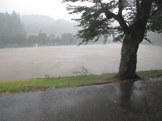 池のように見えるグラウンド