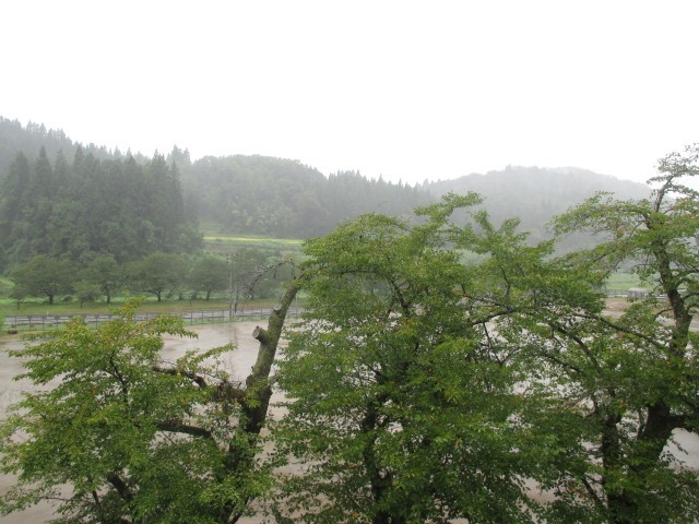 先日ほどではありませんが…