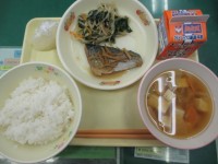 今日は食育の日