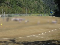 元気よく走る七升の後輩たち
